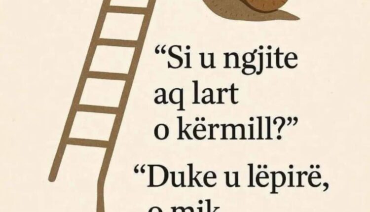 Kërmijt e politikës!