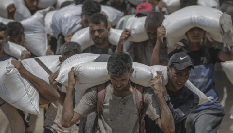 Gjashtë persona të tjerë vdesin nga uria në Gaza, totali shkon në 175