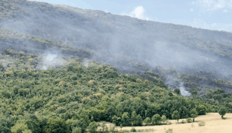 Zjarr në territorin e fshatit Sllupçan