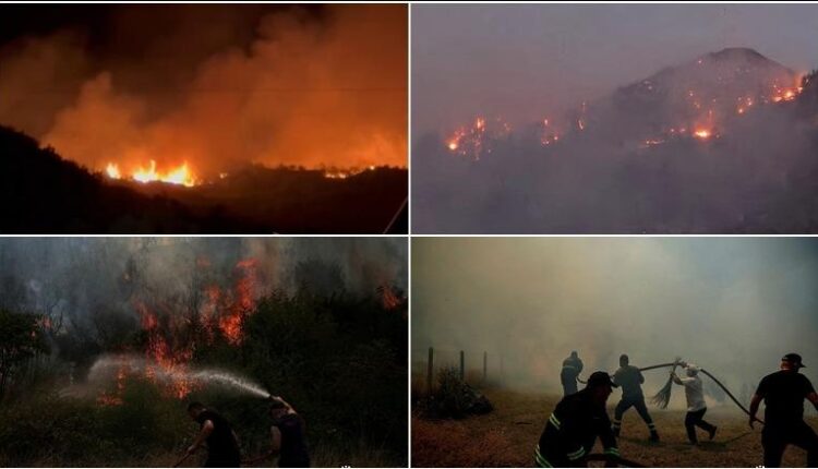 Zjarret masive në Shqipëri/ 46 të arrestuar që prej qershorit, 91 autorë nën hetim