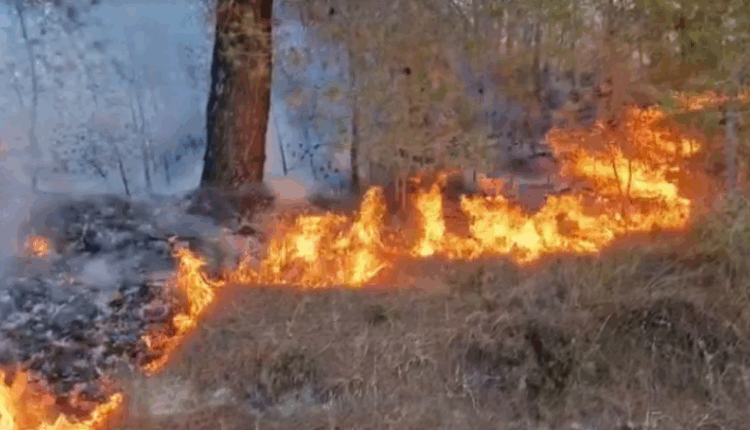 Qendra për Menaxhim me Kriza njofton për 33 zjarre, 3 prej tyre aktivë