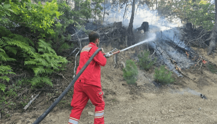 Shqipëria “nën flakë”! 50 vatra zjarri gjatë 24 orëve