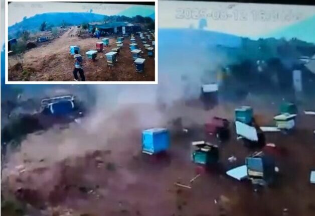 Pamje të frikshme – Pak para zjarrit të madh, në Delvinë u shfaq një tornado – fenomeni natyror shkatërron kosheret e bletëve (VIDEO)