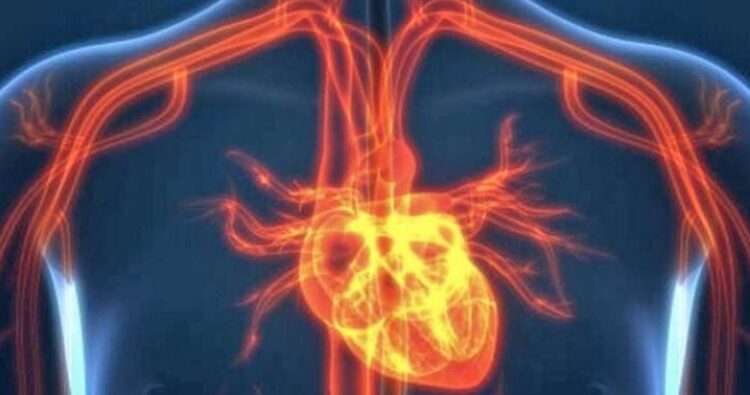 Në klinikat private pacientët operohen dhe u vendosen stendat pa asnjë nevojë – Ja kush e thotë!