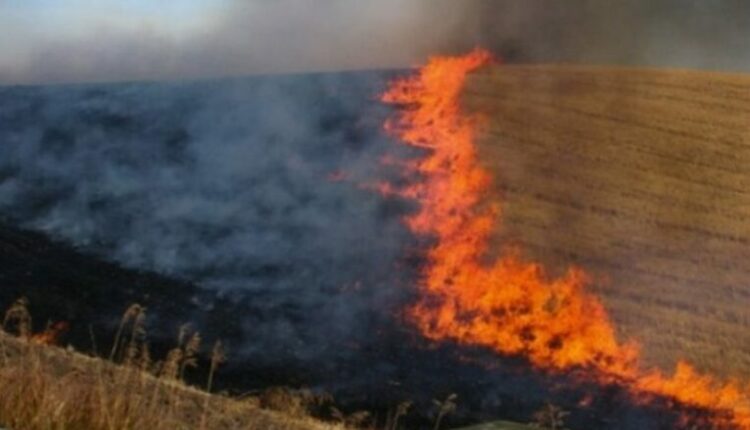 QMK: Një zjarr është aktiv, 18 janë shuar