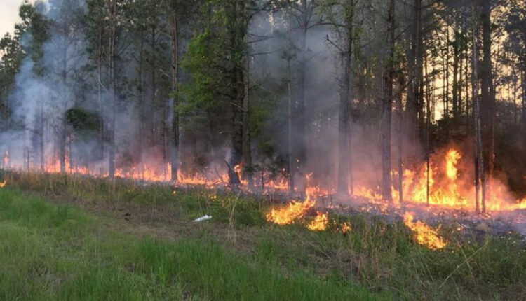 Ende aktiv zjarri në fshatin Nikushtak