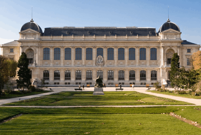 Hajdutët bastisin muzeun francez të historisë natyrore, grabisin mostra të çmuara ari me vlerë 600 mijë euro