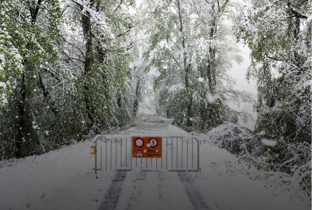 Borë në Zvicër, bllokohen disa zona malore