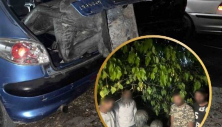 Katër persona nga Shkupi kapen duke vjedhur bustin prej bronzi në Varrezat e Butelit