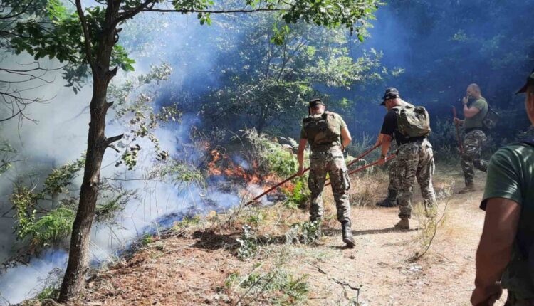 Ndalimi i lëvizjes në pyje në RMV u zgjat deri më 30 shtator