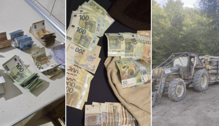 Arrestohen 15 persona, përfshirë edhe të punësuar për shkatërrimin e pyjeve