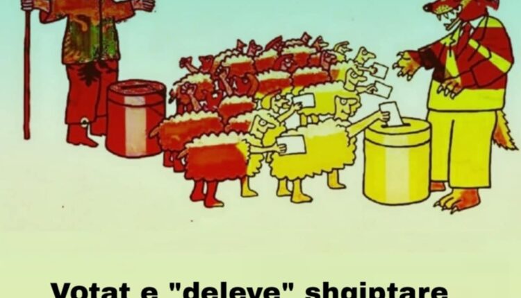 Votat e “deleve” shqiptare për “ujkun” Micko!