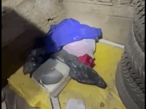 PAMJE nga bastisja antidrogë në Shkup (VIDEO)