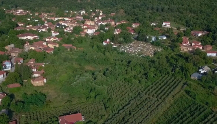 Banorët e fshatit Lubojnë në hall me prerësit e drunjëve