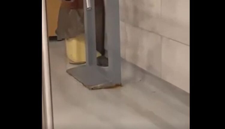 Miu “shëtitet” nëpër Mensë të Studentëve (VIDEO)