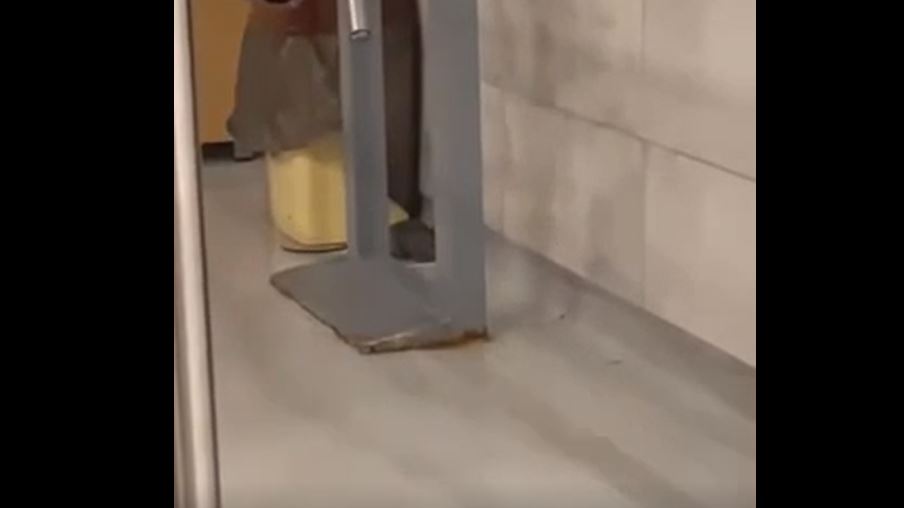 Miu “shëtitet” nëpër Mensë të Studentëve (VIDEO) Miu “shëtitet” nëpër Mensë të Studentëve (VIDEO)