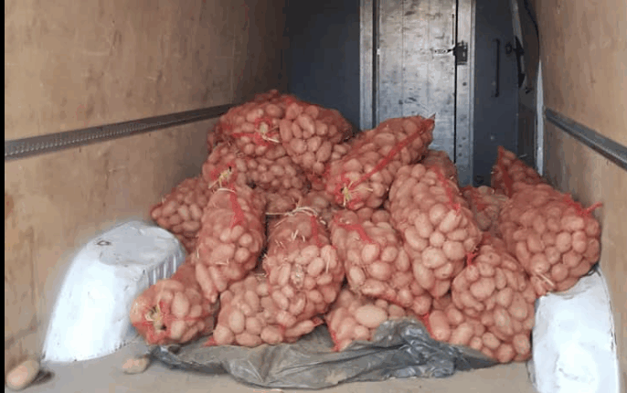 Katër persona ia “zbrazin” kamionin tetovarit – vjedhin 160 thasë me patate gjatë natës!