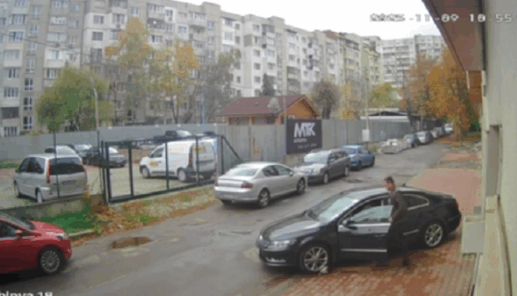 Mjeku nga Maqedonia rrezikon 5 vjet burg në Bullgari, shkeli një qen në Sofje