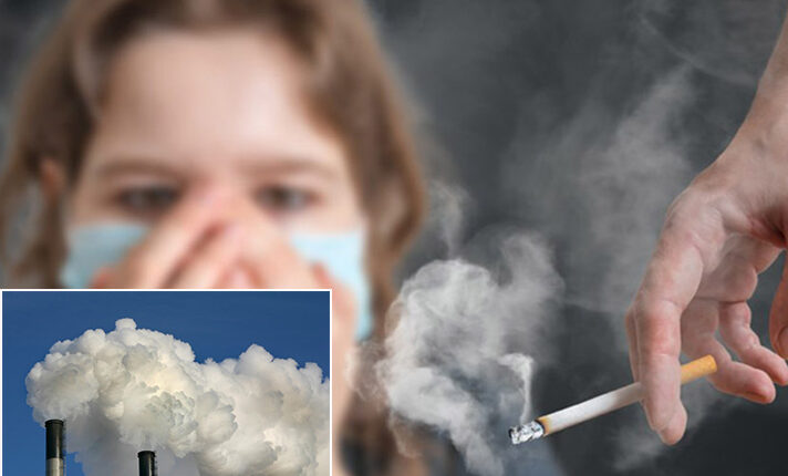 Duhani dhe ajri i ndotur, “fajtorë” në sëmundjet pulmonare kronike