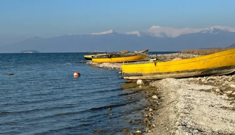 Shpëtimi i Liqenit të Prespës përmes aktivizmit ndërkufitar