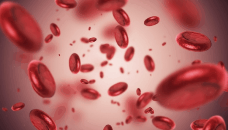 OBSH: 1,23 milionë persona në mbarë botën vitin e kaluar humbën jetën nga tuberkulozi