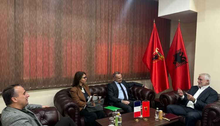 Kryetari Thaçi priti në takim ambasadorin e Francës në Shkup