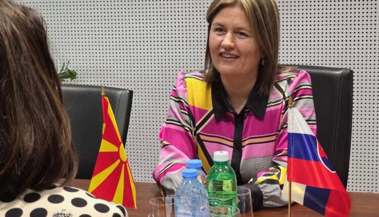 Bozhinovska dhe ambasadorja Hricova: Maqedonia dhe Sllovakia kanë potencial për bashkëpunim më të madh në energji