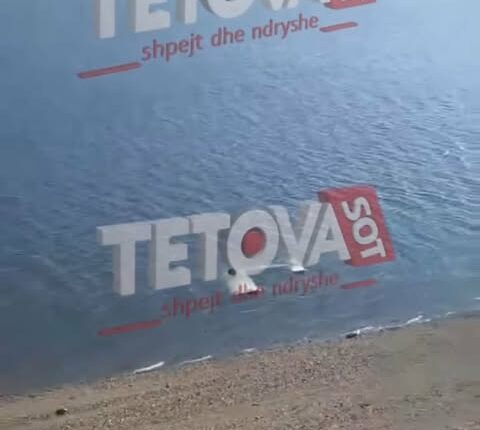 Rrëzohet një avion në Mavrovë, dy shtetas kosovarë të lënduar