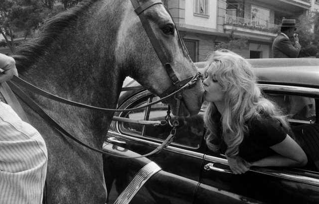KINEMATOGRAFIA BOTËRORE NË ZI  Shuhet në moshën 91 vjeçare  ikona e filmit Brigitte Bardot