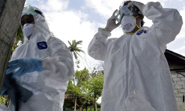 OBSH paralajmëron   Supergripi  do të shkaktojë presion serioz mbi Bashkimin Europian