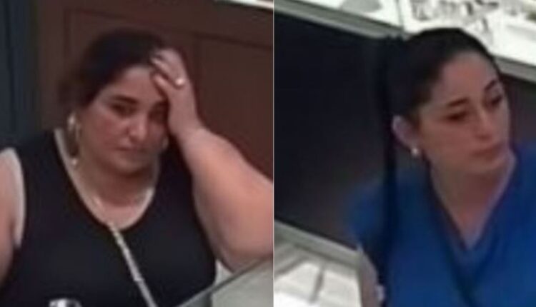 Lajmëroni Policinë nëse shihni këto dy gra, po kërkohen për vjedhje