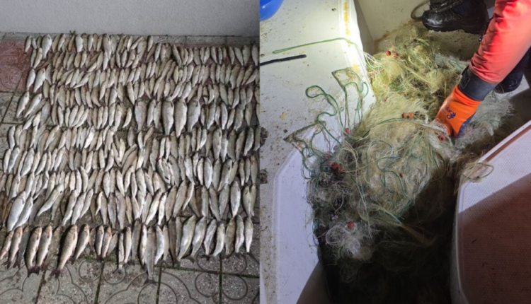 Inspektorati për Bujqësi, në bashkëpunim me Policinë e Liqenit të Ohrit, ka konfiskuar 9 rrjeta peshkimi të paligjshme