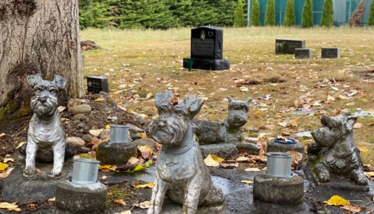 Maqedonia me plan për kafileri dhe varreza për kafshët shtëpiake