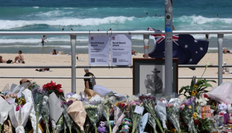 I dyshuari për sulmin në plazhin australian akuzohet për 59 vepra penale