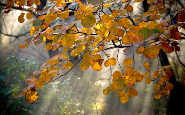 Java e ardhshme sjell stabilizim të motit dhe temperatura më të larta