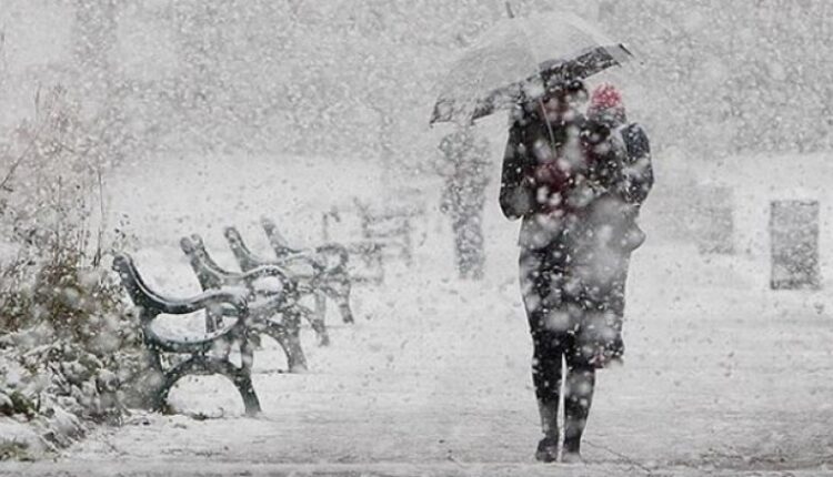 Vjen bora e parë në Maqedoni