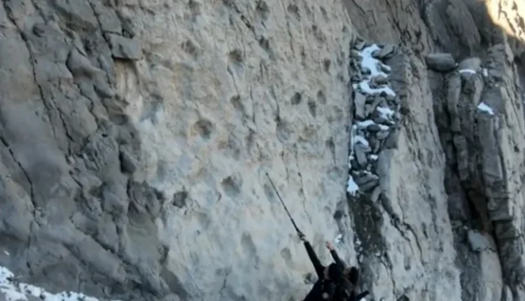 Gjurmët 210 milionë vjeçare të dinozaurëve tronditin shkencëtarët italianë