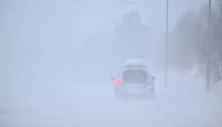 Stuhia “Johannes” lë tre të vdekur dhe mijëra njerëz pa energji elektrike në rajonin Nordik (VIDEO)