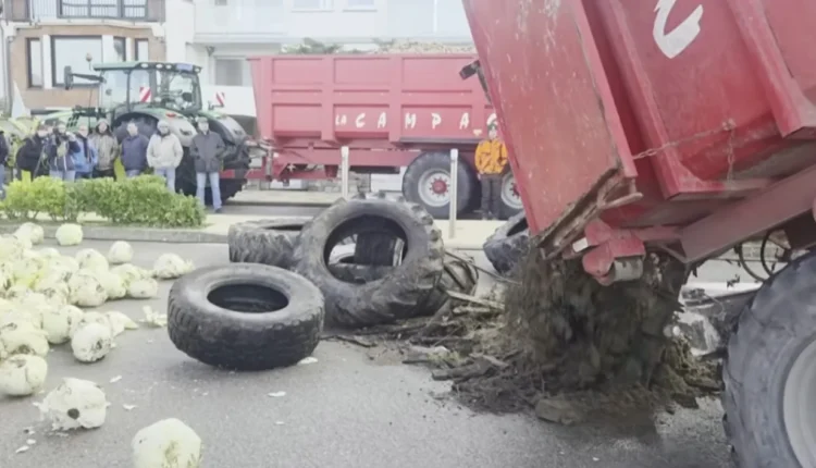 Protesta e fermerëve francez/ Protestuesit hedhin lakra, goma dhe lanë një arkivol jashtë shtëpisë së Macronit