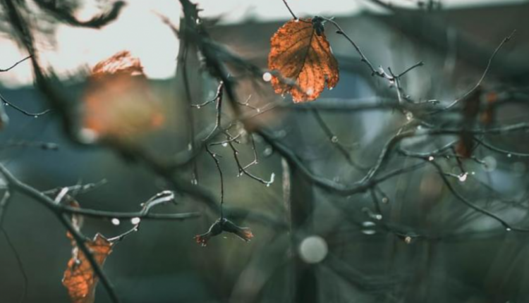 Temperaturat më të ulëta janë matur në Shkup, Manastir dhe Strumicë