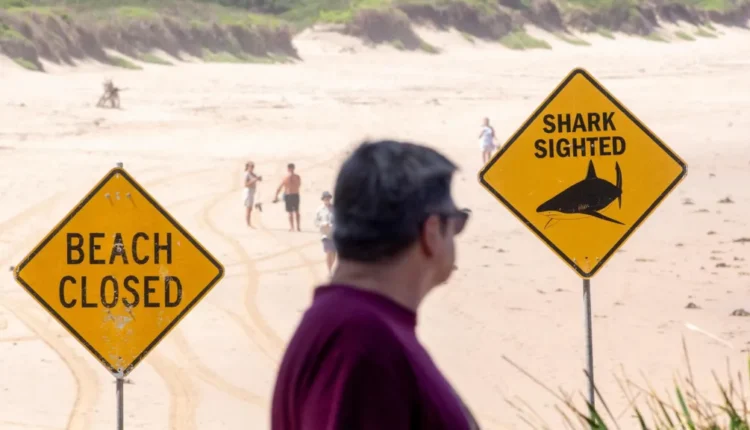 U sulmua nga një peshkaqen një javë më parë, ndërron jetë 12-vjeçari në Sidney