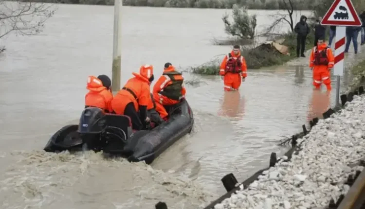 Përmbytjet shkatërrojnë fermat dhe bujqësinë në Shqipëri, humbje deri në 150 milionë euro