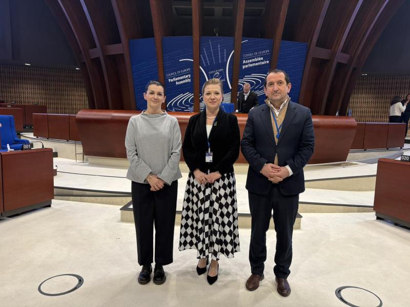 Delegacioni i Kuvendit në sesionin plenar dimëror të APKE së