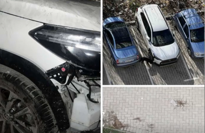 Pas sulmeve ndaj njerëzve, qentë endacakë në Gazi Babë dëmtojnë edhe automjete