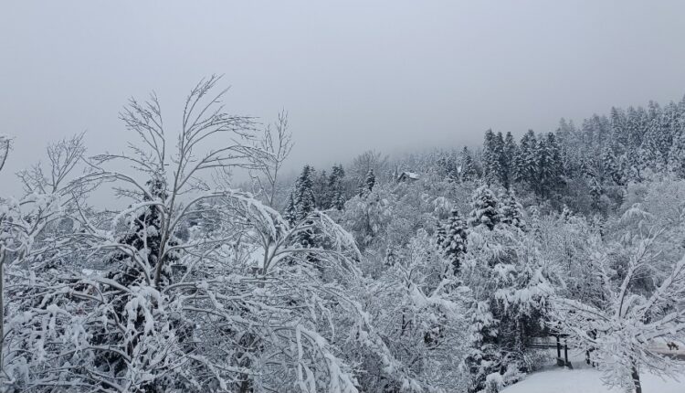 Qytetarët të furnizohen me ushqim, barna dhe karburant: QMK me paralajmërim për banorët e zonave malore