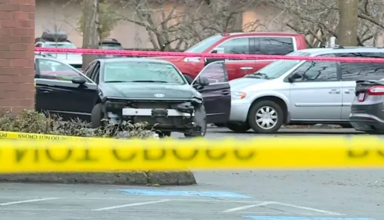 Tensionet rriten në SHBA, efektivët plagosin dy persona në Portland