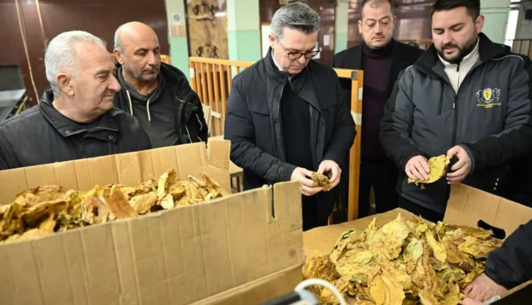 Tripunovski: Deri më tani janë blerë 25.3 milionë kilogramë duhan me vlerë 170 milionë euro