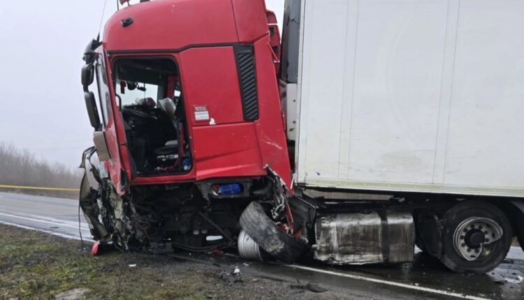 Shoferi polak i kamionit që përplasi tifozët e PAOK i shokuar: 34 vjet në timon, s’kam parë kurrë diçka të tillë