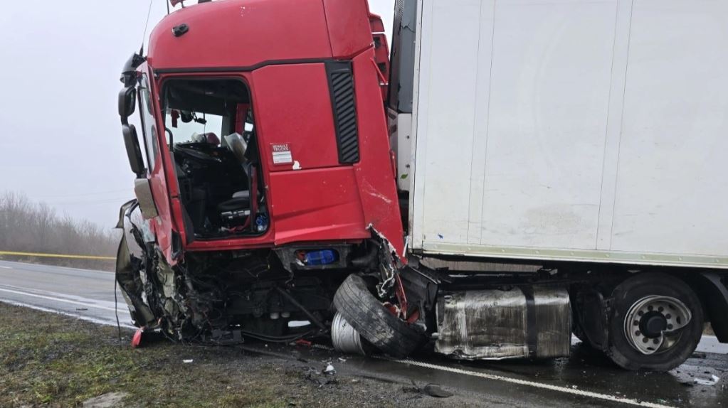 Shoferi polak i kamionit që përplasi tifozët e PAOK i shokuar  34 vjet në timon  s kam parë kurrë diçka të tillë