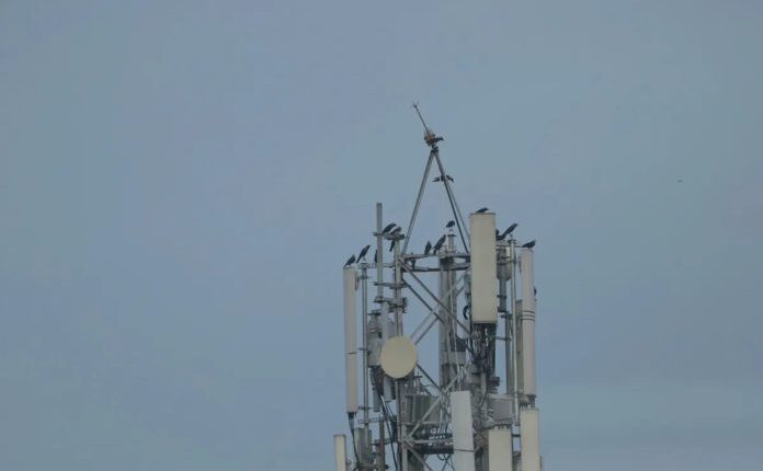 Operatori i tretë mobil në RMV do të fillojë punën në fillim të vitit 2027, do të ketë rrjetin e vet 5G